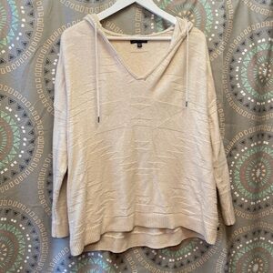 AEO Hooded Sweater